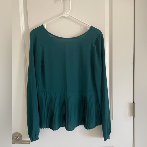 The Limited Long Sleeve Pleated Blouse - Picture 8 of 10